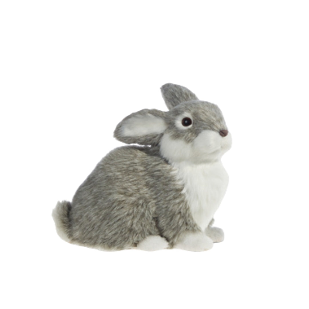 Grey Fluffy Rabbits