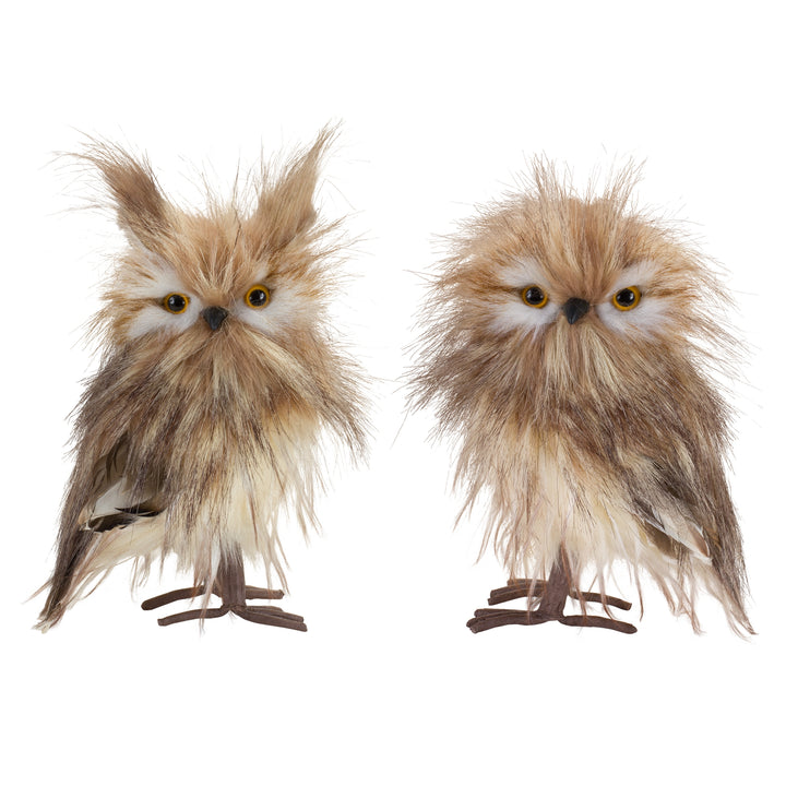 Fluffy Feathered Owls