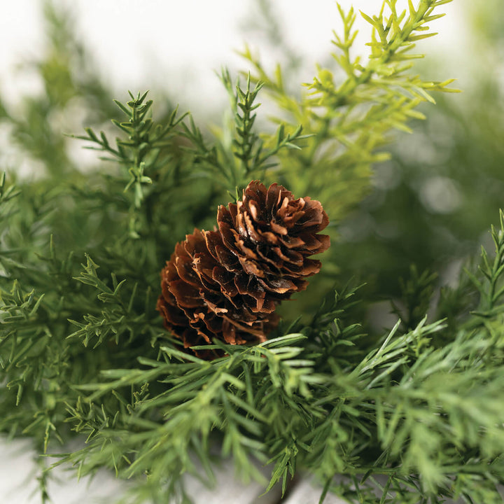 Arborvitae and Cone Accent Ring