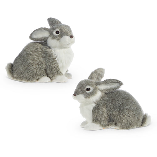 Grey Fluffy Rabbits