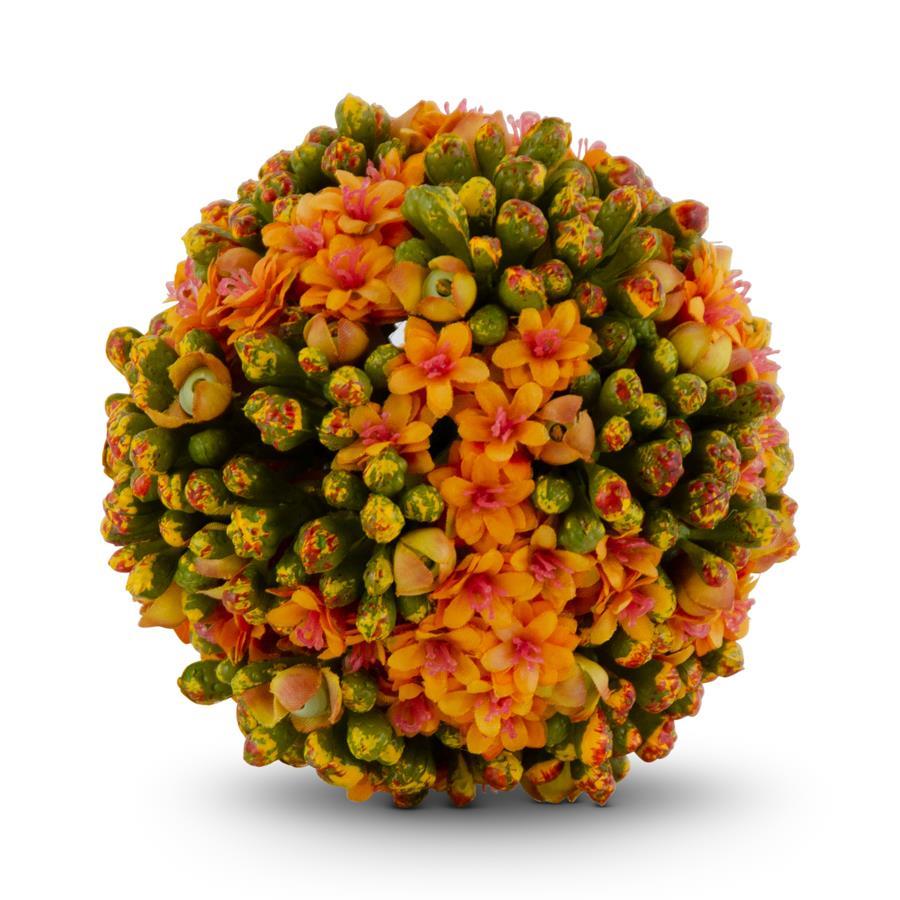 Kalanchoe Ball