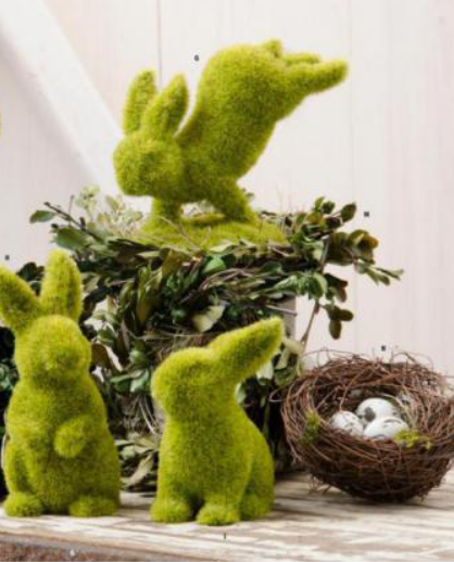 Moss Bunny on Front Feet