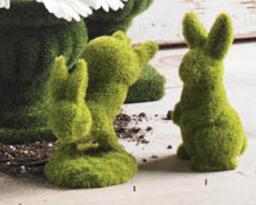 Moss Bunny on Front Feet