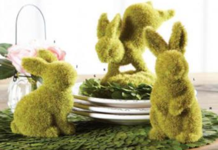 Moss Bunny on Front Feet