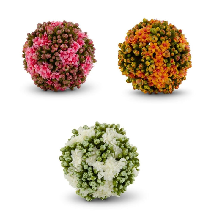 Kalanchoe Ball