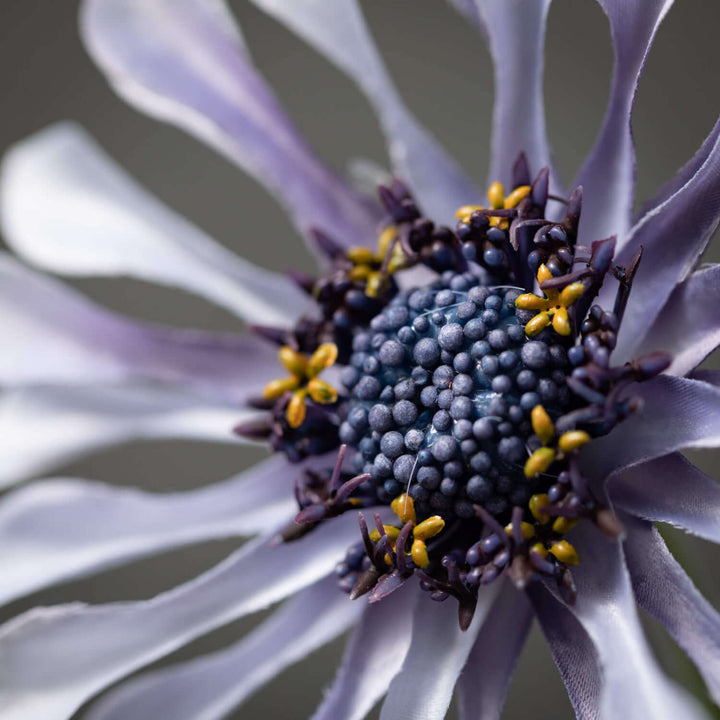 Light Blue Daisy Bloom Spray